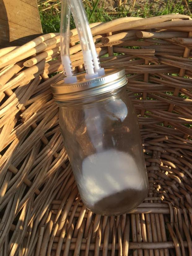 13442386_1554061128233050_4143771334784849660_n